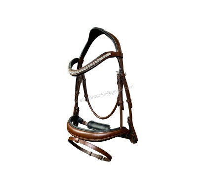 Leather Bridle 